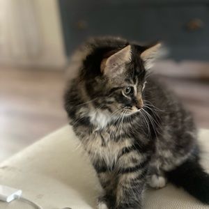 Meet your Posher, Shawn